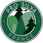 Logo Prosilva