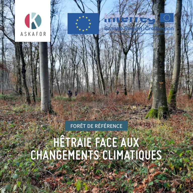 La première forêt de référence Askafor en France - une hêtraie dans le contexte des changements climatiques.