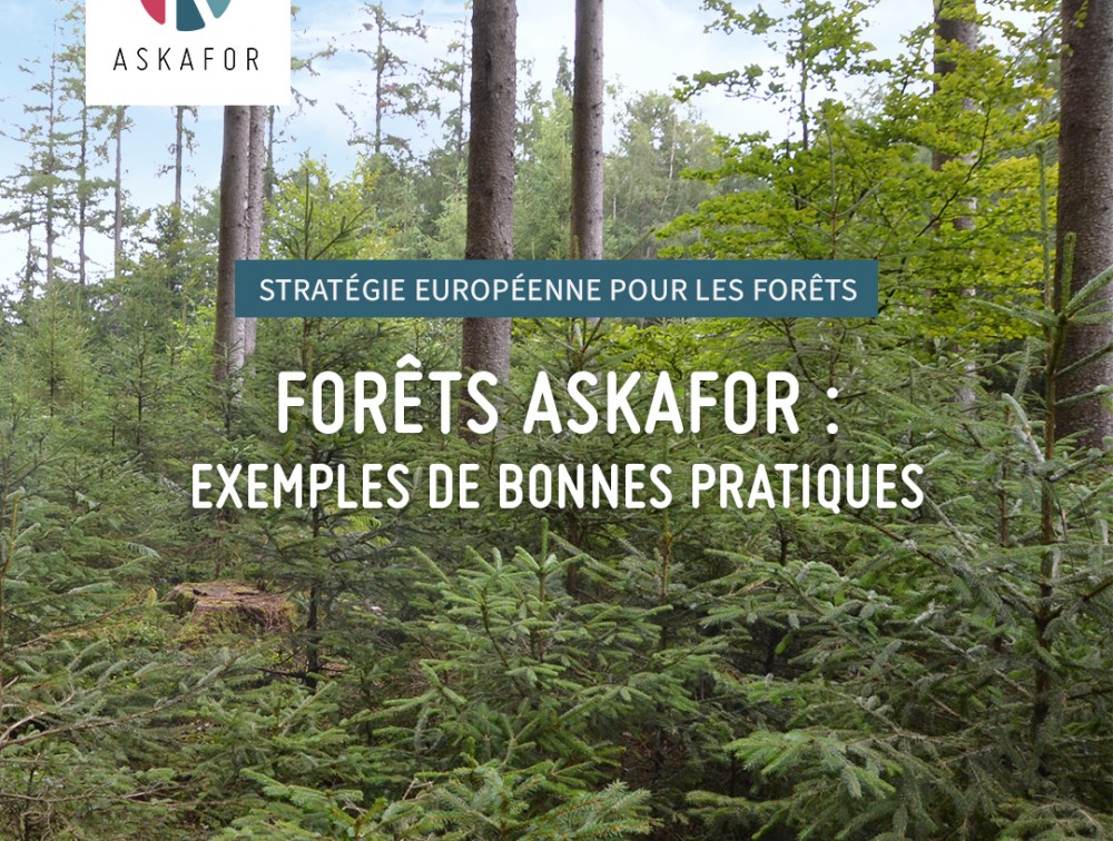 Le projet ASKAFOR, cité comme référence de bonnes pratiques dans la stratégie de l’UE pour les forêts à l’horizon 2030 !