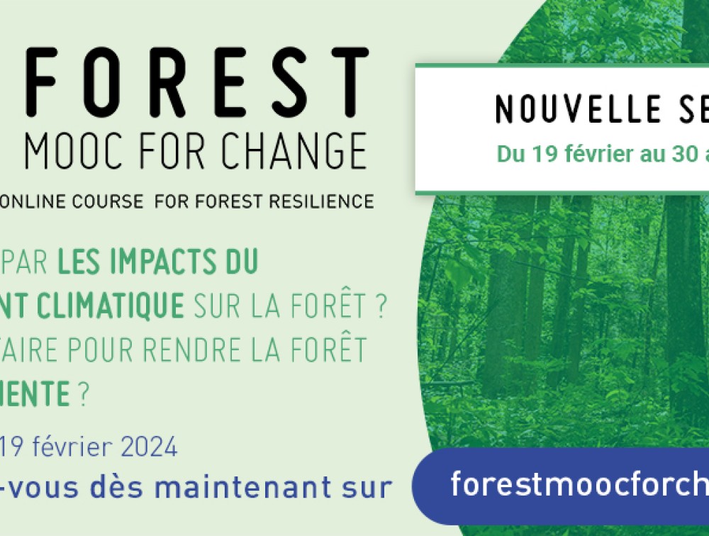 Forest Mooc For Change - Une nouvelle session disponible du 19 février au 30 avril 2024 !