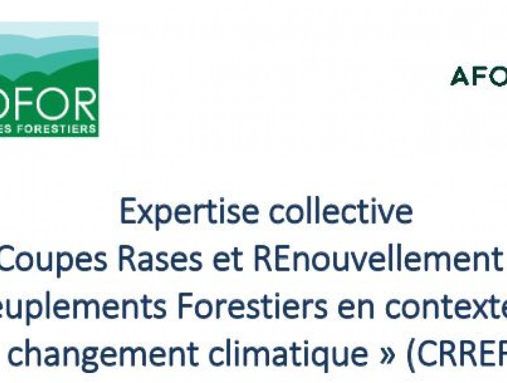 Rapport de l'expertise sur les coupes rases et le renouvellement des peuplements forestiers en contexte de changement climatique