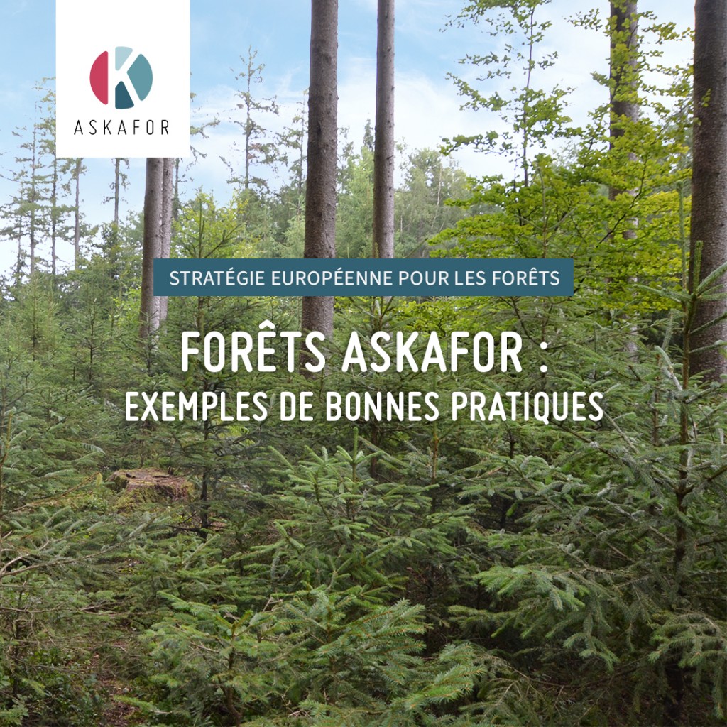 Le projet ASKAFOR, cité comme référence de bonnes pratiques dans la stratégie de l’UE pour les forêts à l’horizon 2030 !