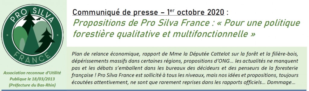 Réaction et propositions de Pro Silva France face aux actualités (Plan de Relance, rapport de Mme Cattelot...)