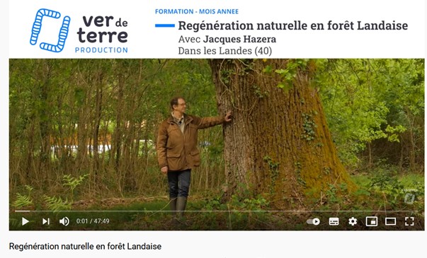 Vidéo sur la sylviculture à couvert continu appliquée au massif des Landes, par Jacques HAZERA.